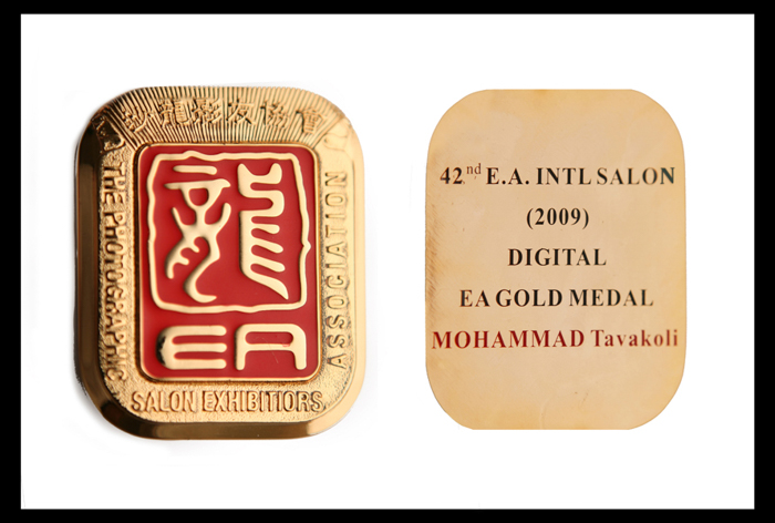 EA Gold Medal — 42nd International Salon 2009